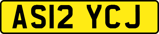 AS12YCJ