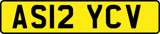 AS12YCV