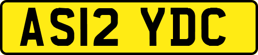 AS12YDC