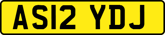 AS12YDJ
