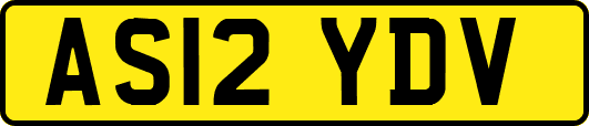 AS12YDV