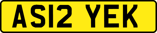 AS12YEK