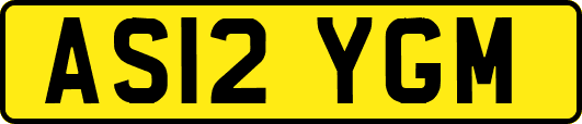 AS12YGM