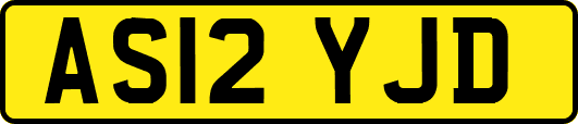 AS12YJD