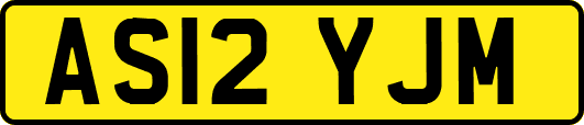 AS12YJM