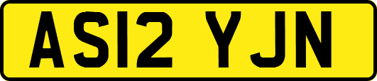 AS12YJN
