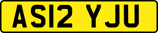 AS12YJU
