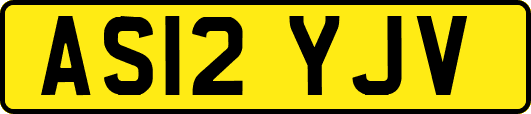 AS12YJV