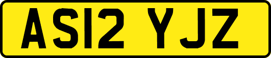 AS12YJZ