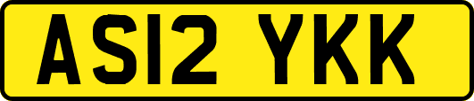 AS12YKK