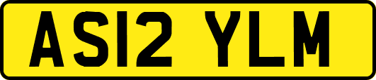 AS12YLM