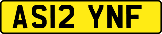 AS12YNF