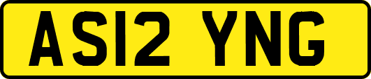 AS12YNG