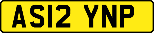 AS12YNP