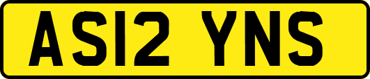 AS12YNS