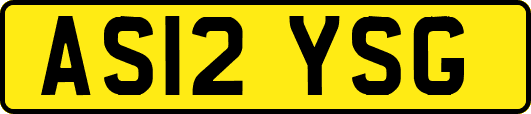 AS12YSG