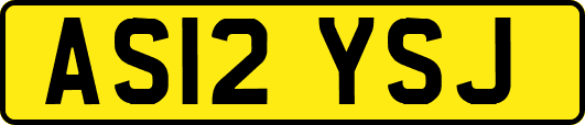 AS12YSJ