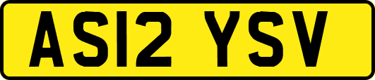 AS12YSV