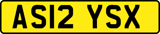 AS12YSX