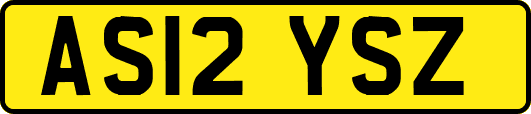 AS12YSZ