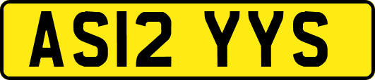 AS12YYS