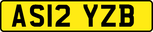 AS12YZB
