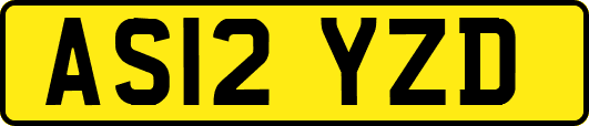 AS12YZD