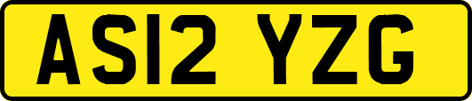 AS12YZG