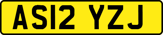 AS12YZJ