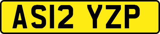 AS12YZP