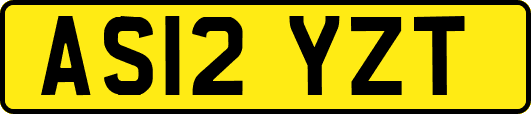 AS12YZT