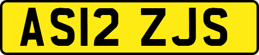 AS12ZJS