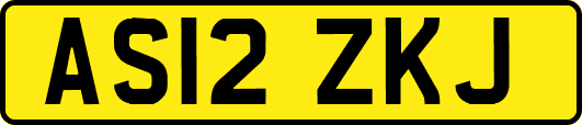 AS12ZKJ