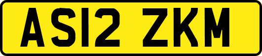 AS12ZKM