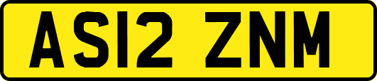 AS12ZNM