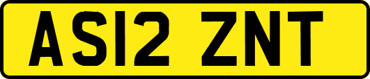 AS12ZNT