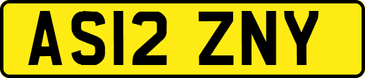 AS12ZNY