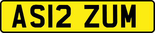 AS12ZUM