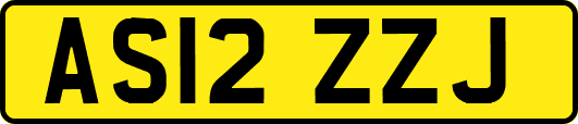 AS12ZZJ