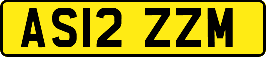 AS12ZZM