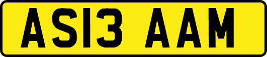 AS13AAM