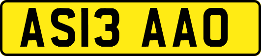 AS13AAO