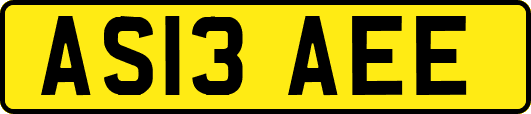 AS13AEE
