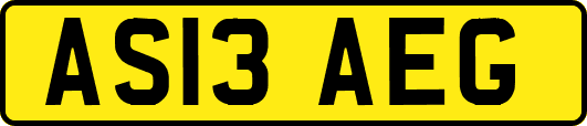 AS13AEG