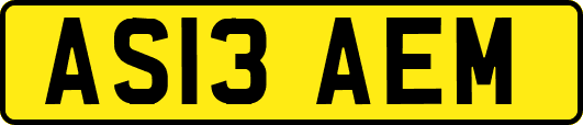 AS13AEM