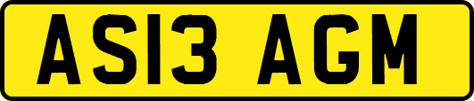 AS13AGM