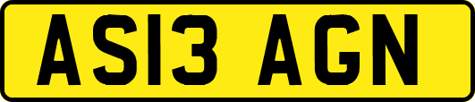 AS13AGN
