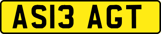 AS13AGT