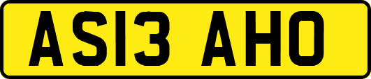 AS13AHO