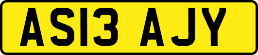 AS13AJY